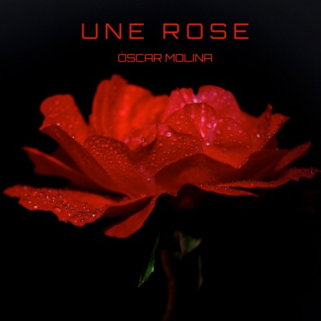Une Rose | Boomplay Music