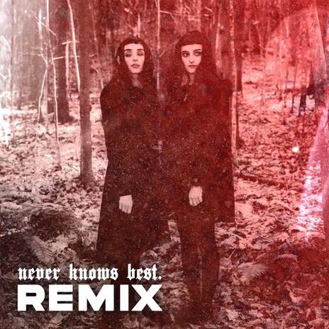 Never Knows Best (Remix) | Boomplay Music