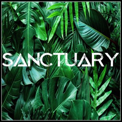 Sanctuary | Boomplay Music