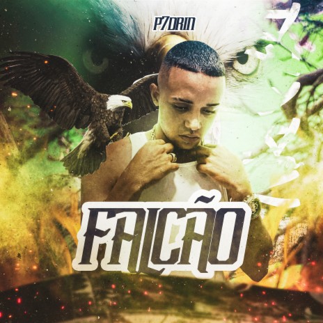 Falcão | Boomplay Music