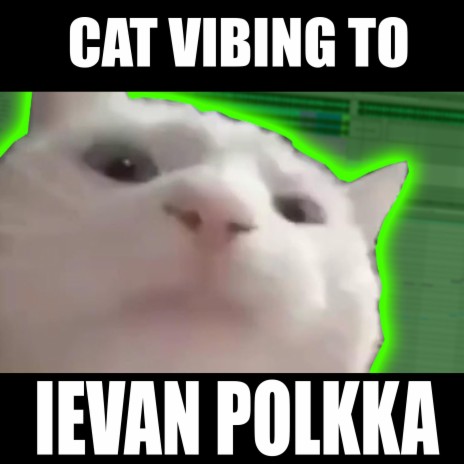 Cat Vibing To Ievan Polkka Swing | Boomplay Music