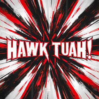 Hawk Tuah!