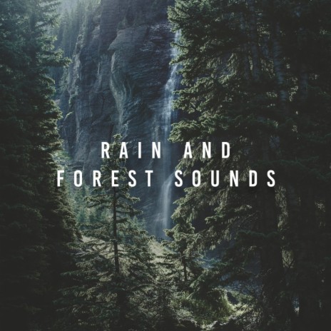 Rain And Forest Sounds
