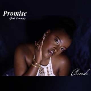 Promise ft. Frxnco lyrics | Boomplay Music