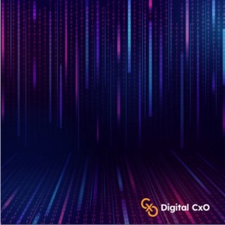 Digital CxO Podcast, Ep. 3 - Digital Disconnect
