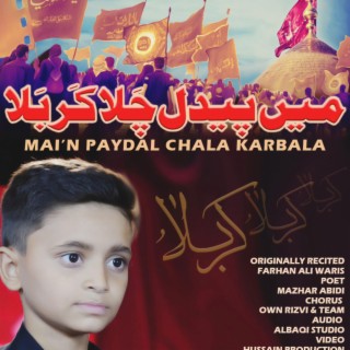 Paidal Chala Karbala by Mesam Abbas