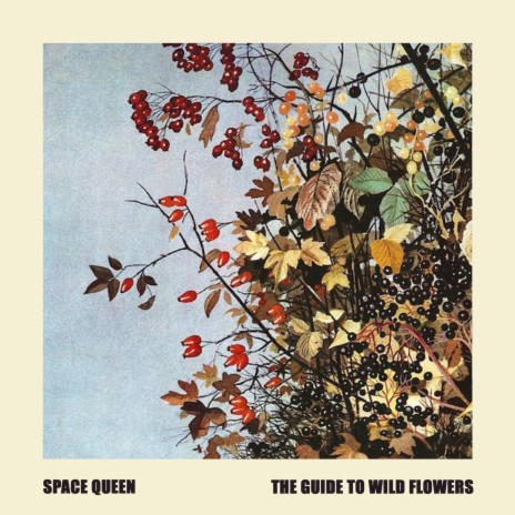 The Guide to Wild Flowers | Boomplay Music