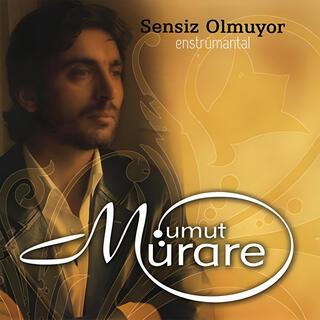 Sensiz Olmuyor (Enstrümantal)