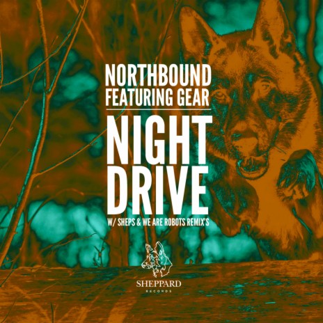 Night Drive (feat. GEAR) (Original Mix) | Boomplay Music