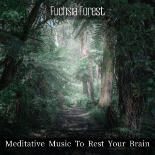 Meditative Music To Rest Your Brain