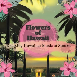 Relaxing Hawaiian Music at Sunset