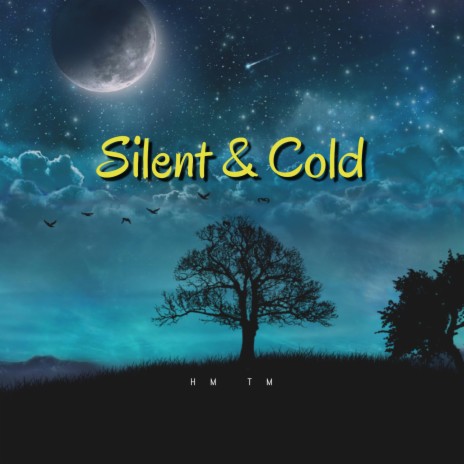 Silent & Cold | Boomplay Music