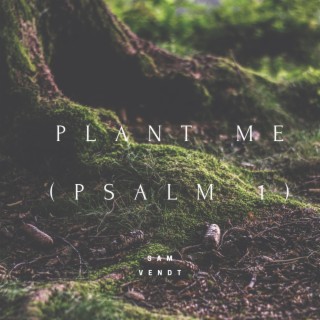 Plant Me (Psalm 1)