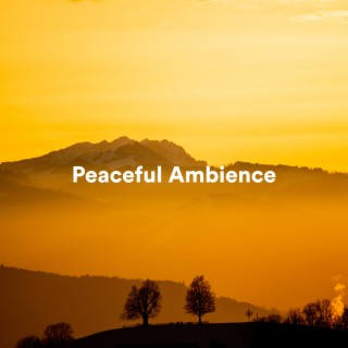 Peaceful Ambience