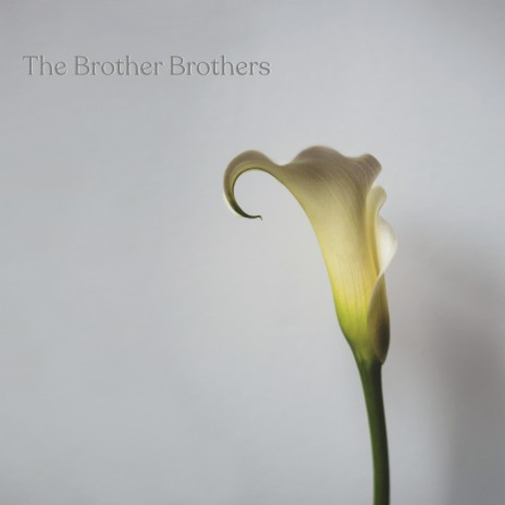 The Calla Lily Song | Boomplay Music