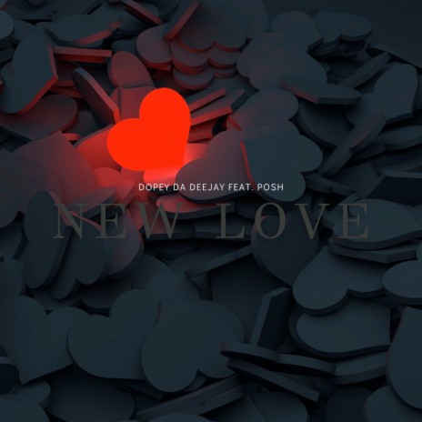 New Love ft. Posh | Boomplay Music
