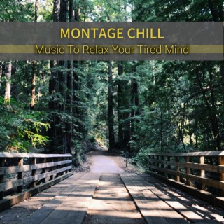Music To Relax Your Tired Mind