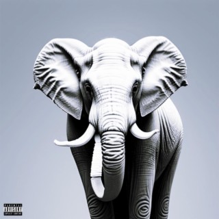 White Elephant lyrics | Boomplay Music