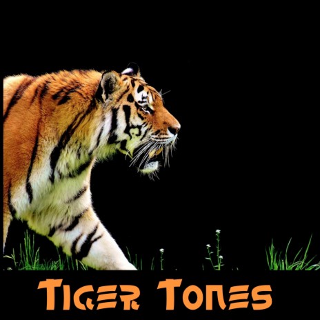 Tigris Tigris