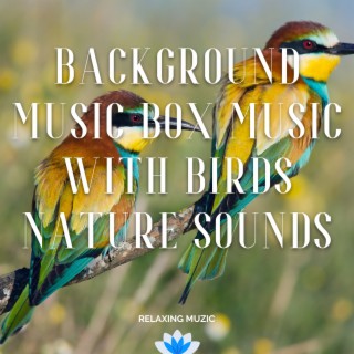 Download Relaxing Muzic album songs: Background Music Box Music with Birds  Nature Sounds