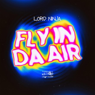 FLY IN DA AIR lyrics | Boomplay Music