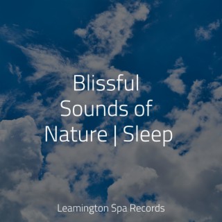 Music for Absolute Sleep