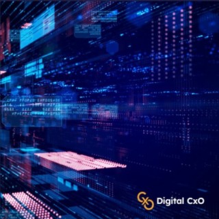 Digital CXO Podcast Ep 5 - Digital DevOps