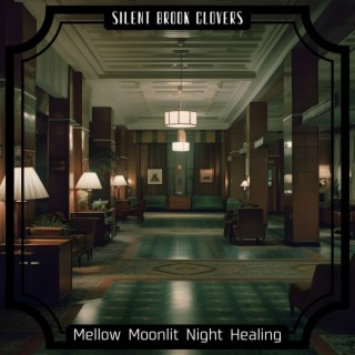 Mellow Moonlit Night Healing