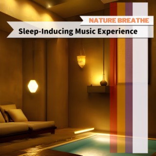 Sleep-Inducing Music Experience