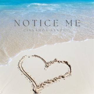 Notice Me lyrics | Boomplay Music