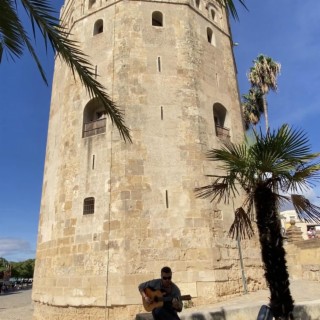 Torre del Oro Solea