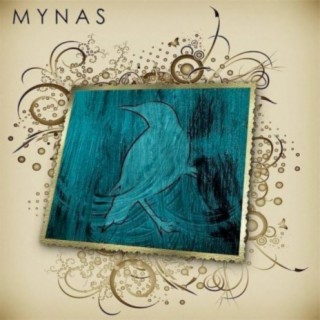 Mynas