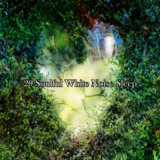 20 Soulful White Noise Sleep