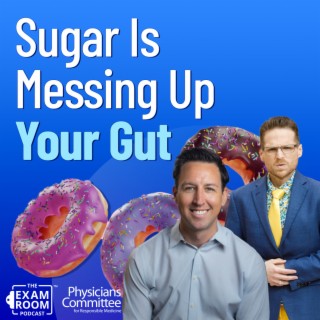 How Sugar Sours the Gut and Messes With Microbiome | Dr. Will Bulsiewicz