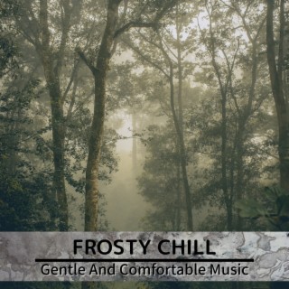 Gentle And Comfortable Music