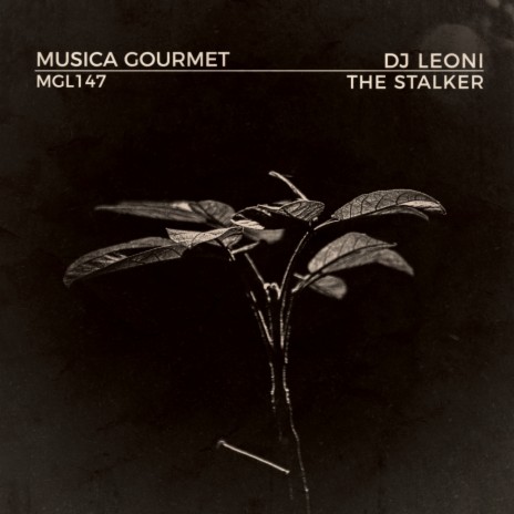 The Stalker (Radio Edit) | Boomplay Music