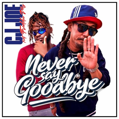 Never Say Goodbye ft. Freddie Mo | Boomplay Music