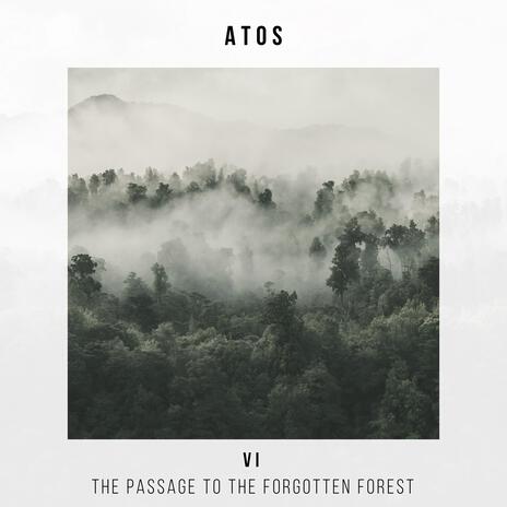 The Passage to the Forgotten Forest | Boomplay Music