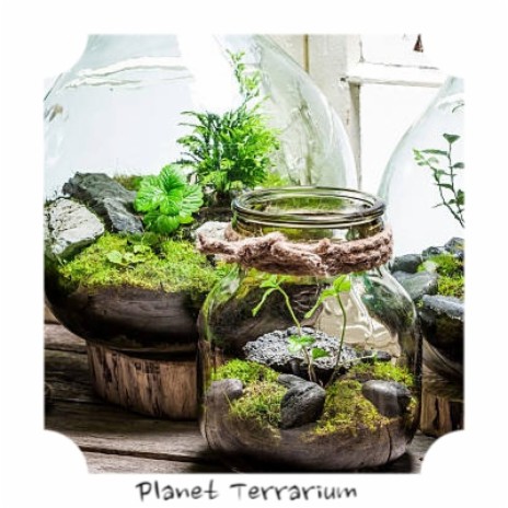 Planet Terrarium | Boomplay Music