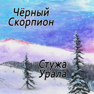 Чёрный скорпион