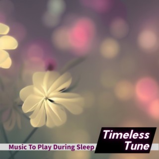 Music To Play During Sleep