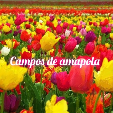 Campos de amapola ft. Zeus VF