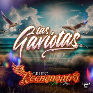 Las Gaviotas