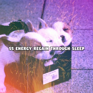 55 Energy Regain Through Sleep