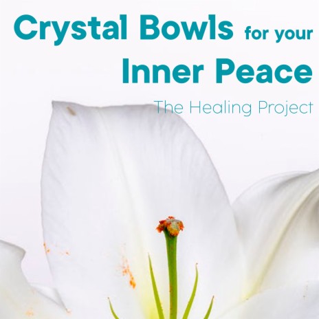 Crystal Bowls for Your Inner Peace Vol. 5 | Boomplay Music