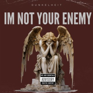 Im Not Your Enemy