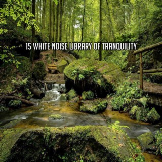 15 White Noise Library Of Tranquility