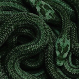 slytherin