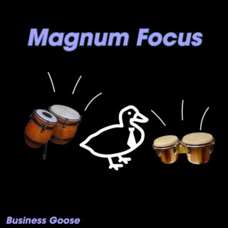 Magnum Focus