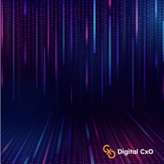 Digital CxO Podcast Ep. 21 - Data Silos
